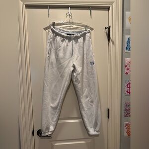 Aritzia super world sweat pants